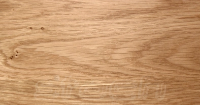 65d5e9e821854.webp
